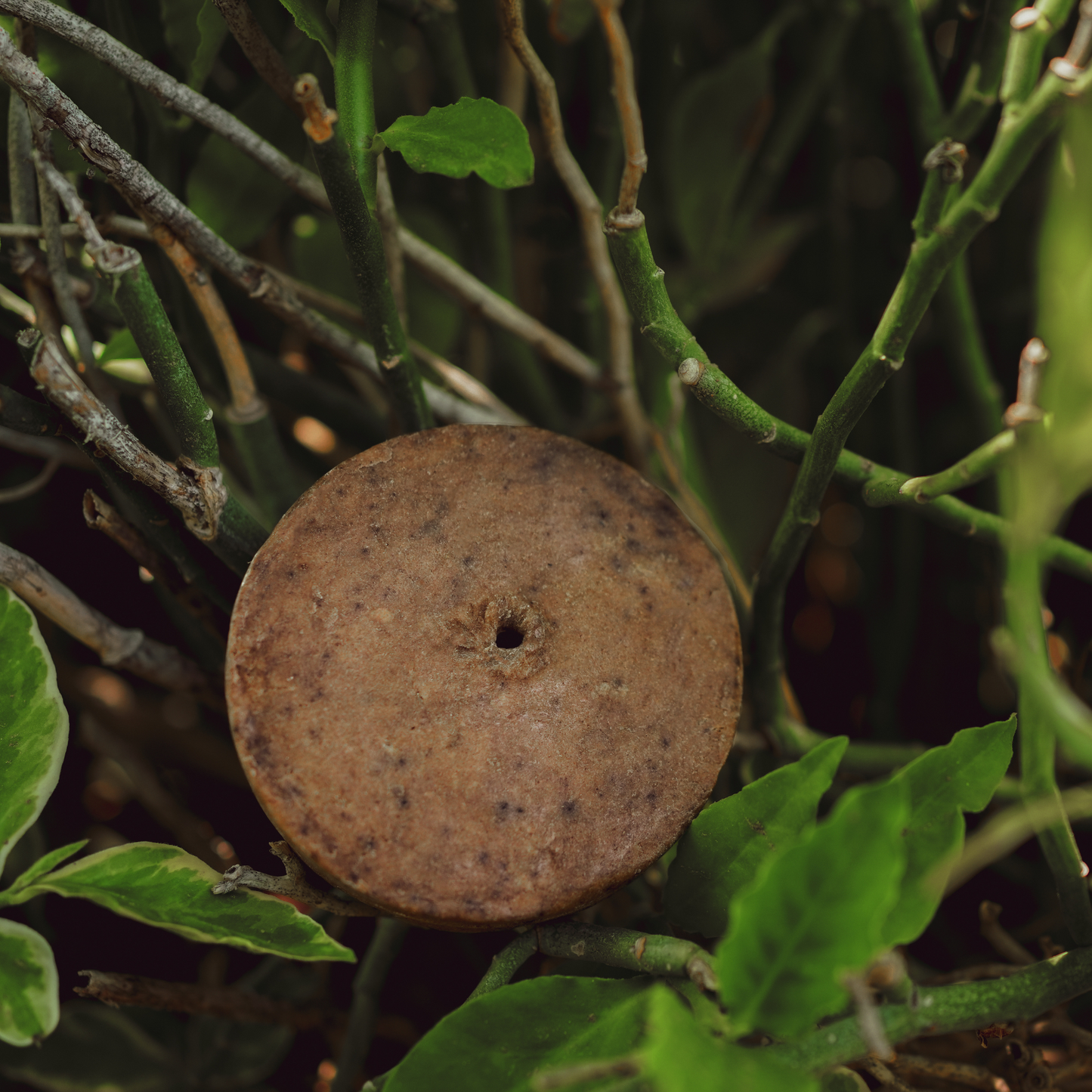 AMLA REETHA SHIKAKAI SOLID SHAMPOO BAR